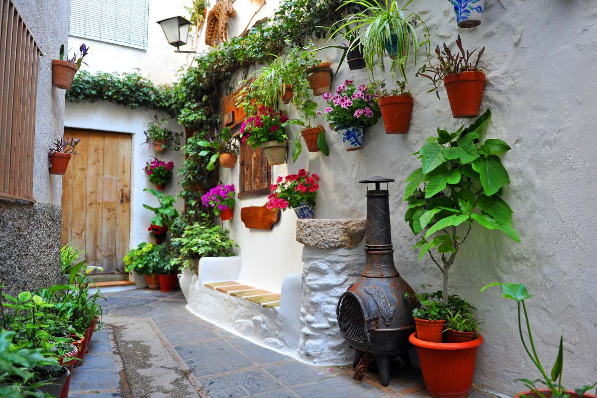 Macetas repletas de flores en una estrecha calle de paredes blancas que conducen a una casa en el barrio judío de Lanjarón.