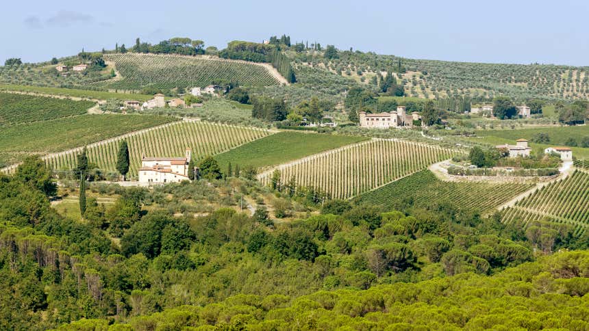 Panoramica delle colline su cui sorgono vigneti di Castello del Nero