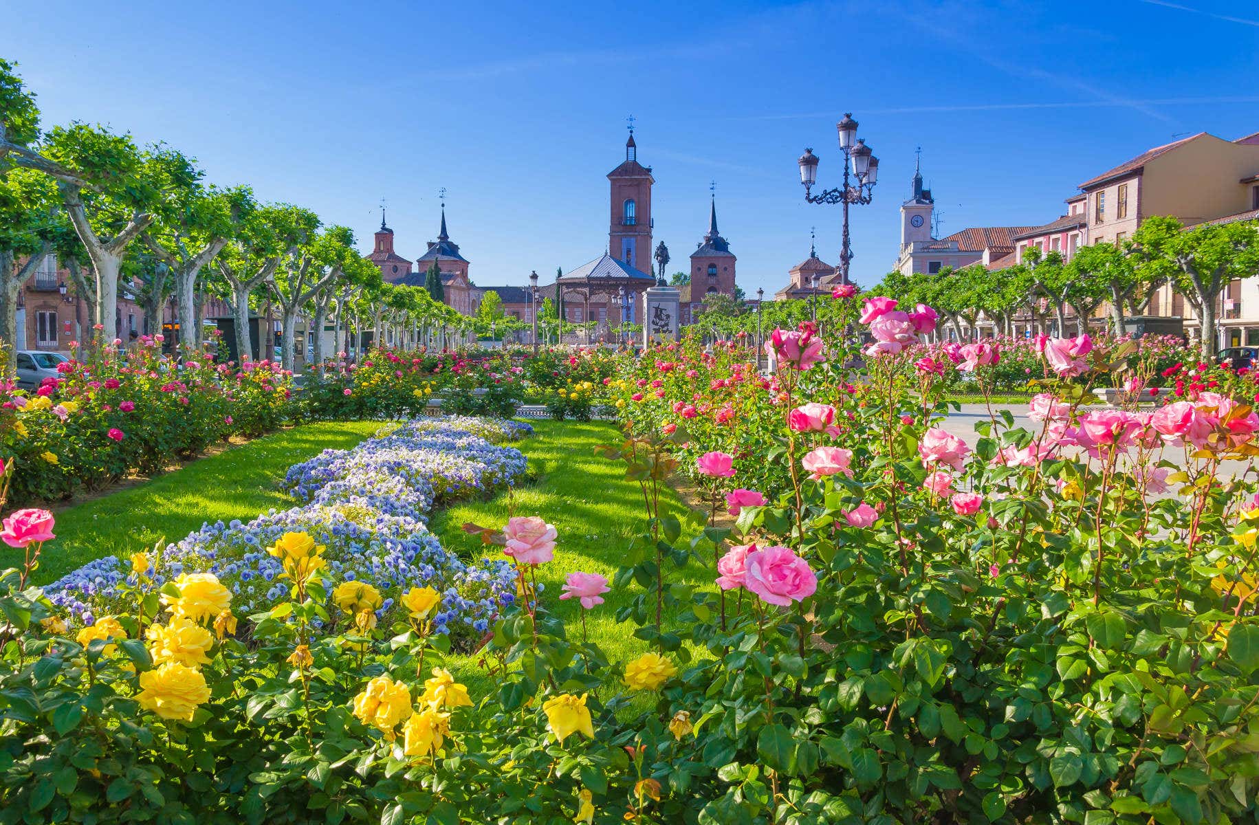 Vista de la Plaza de Cervantes de Alcalá con unas flores de colores en primer plano