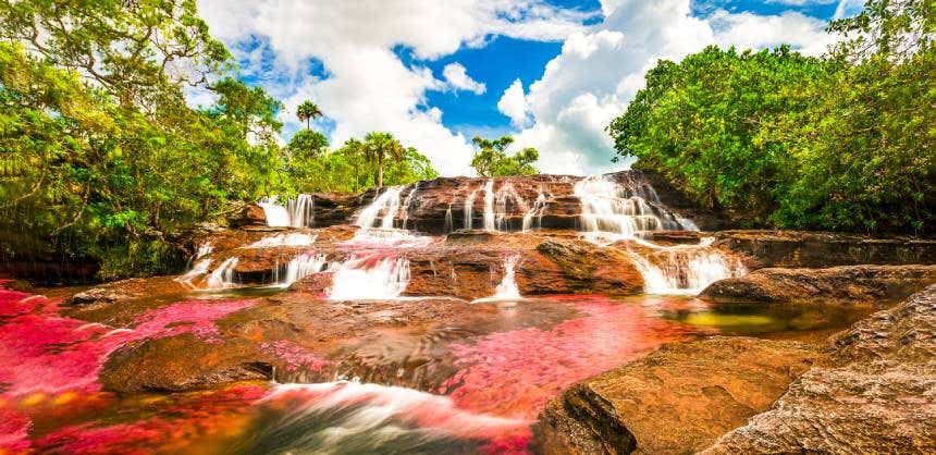 Cascata de Caño Cristales, na Sierra de la Macarena, Colômbia