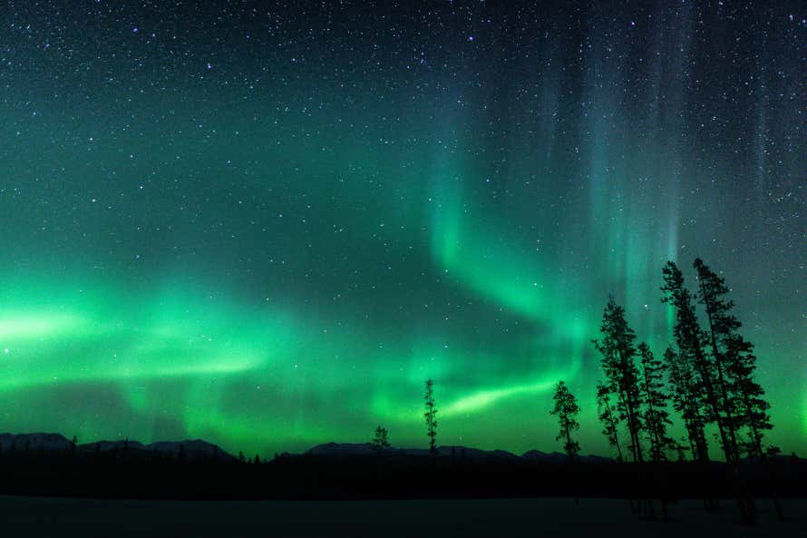 The Northern lights in canada with green hues and stars in the sky