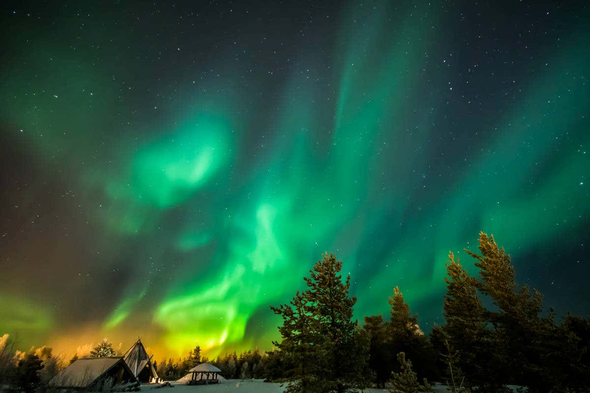 Aurora boreal azul y verde en los bosques de Rovaniemi