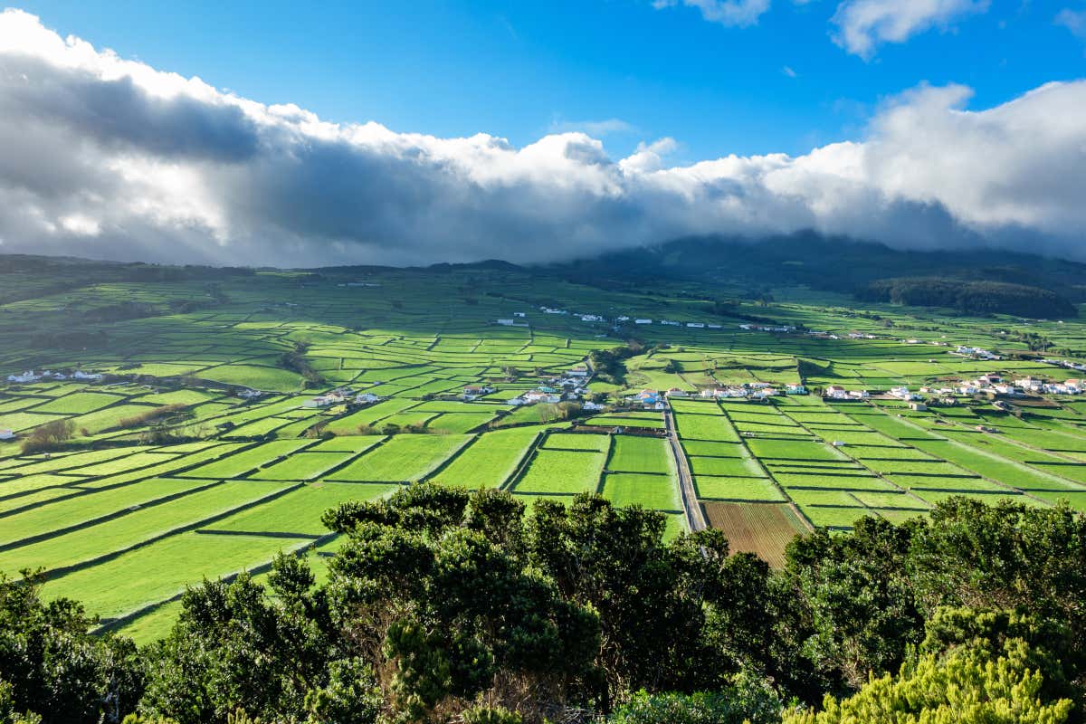 Campos de cultivo da ilha Terceira