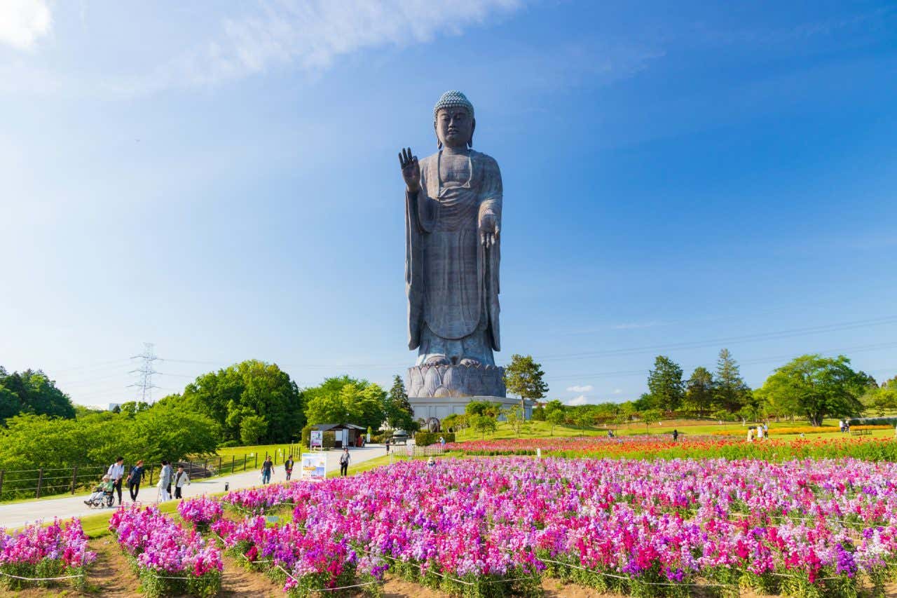Imagem da estátua do Buda Ushiku Daibutsu rodeado de flores rosas