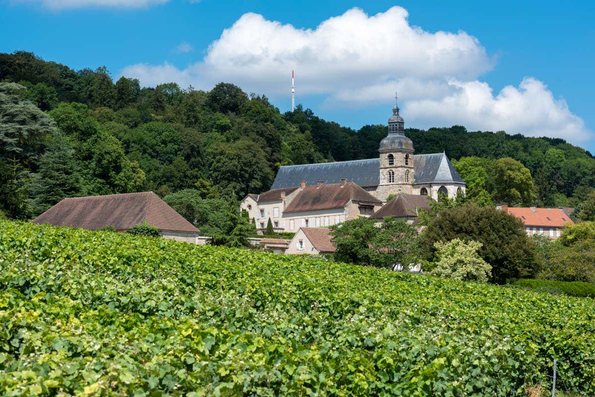 Paisagem da abadia de Hautvillers e os vinhedos