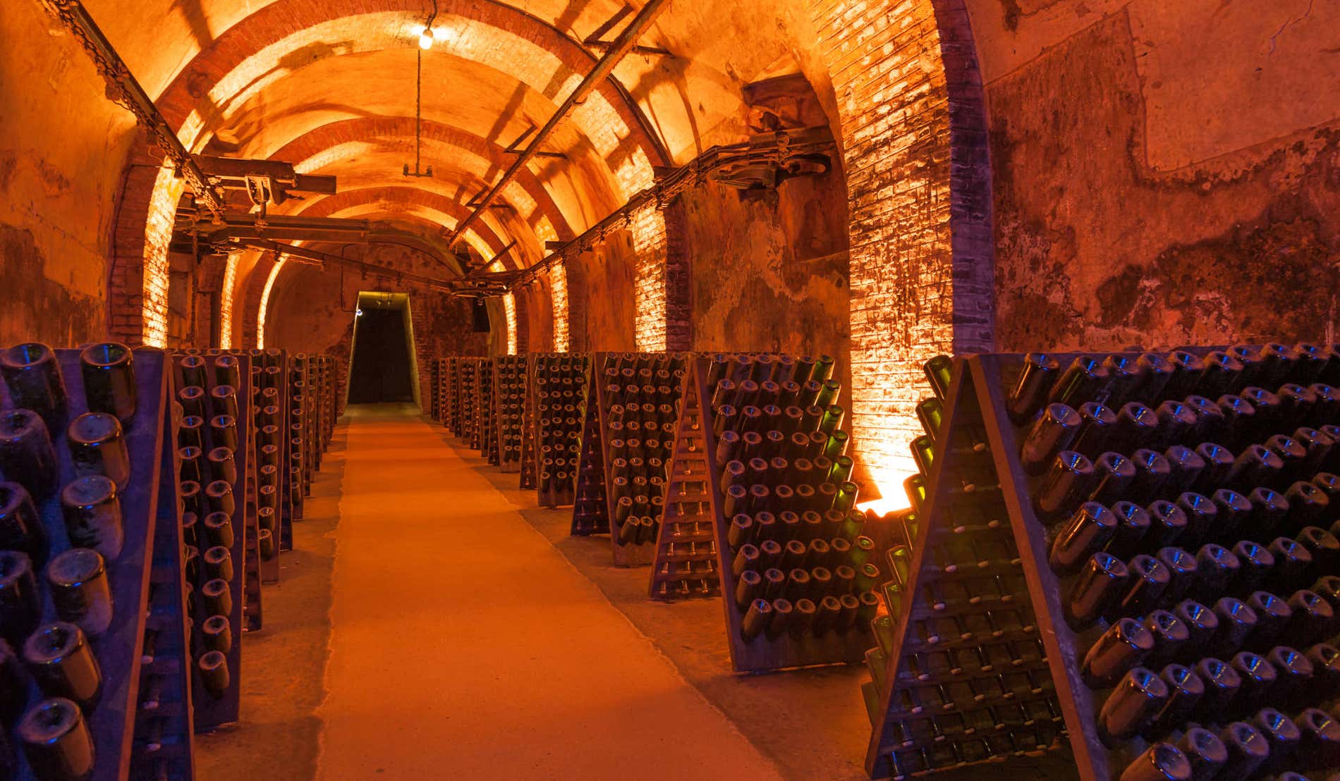 Visit of Epernay & Multiple Champagne Tastings in a Vineyard