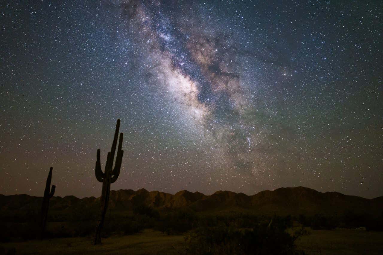 Fondo estrellado tras unos cactus en la noche mexicana, uno de los mejores lugares donde ver estrellas en México 