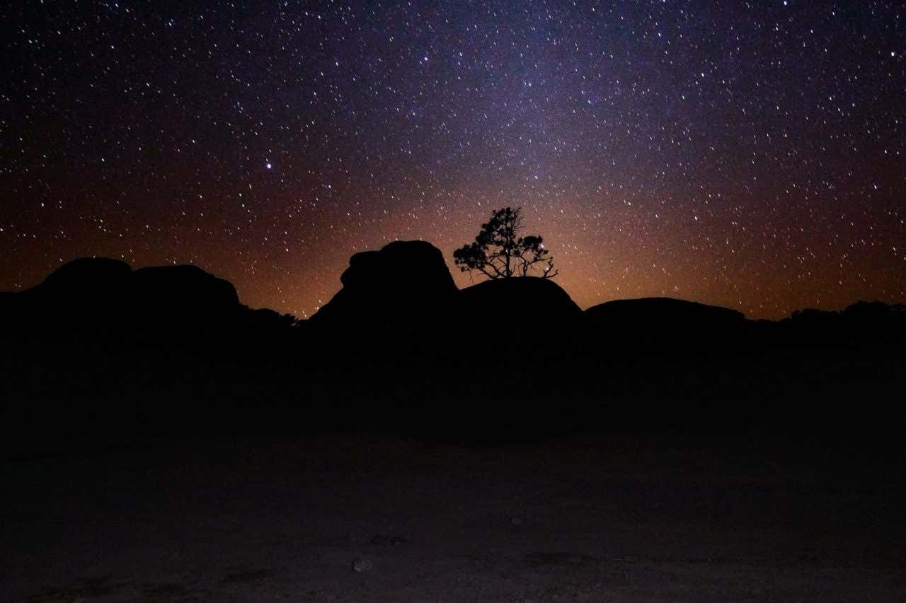 Fotografía de las montañas y la vegetación con el cielo estrellado de fondo en el Parque Nacional Chico, lugar perfecto donde ver las estrellas en México