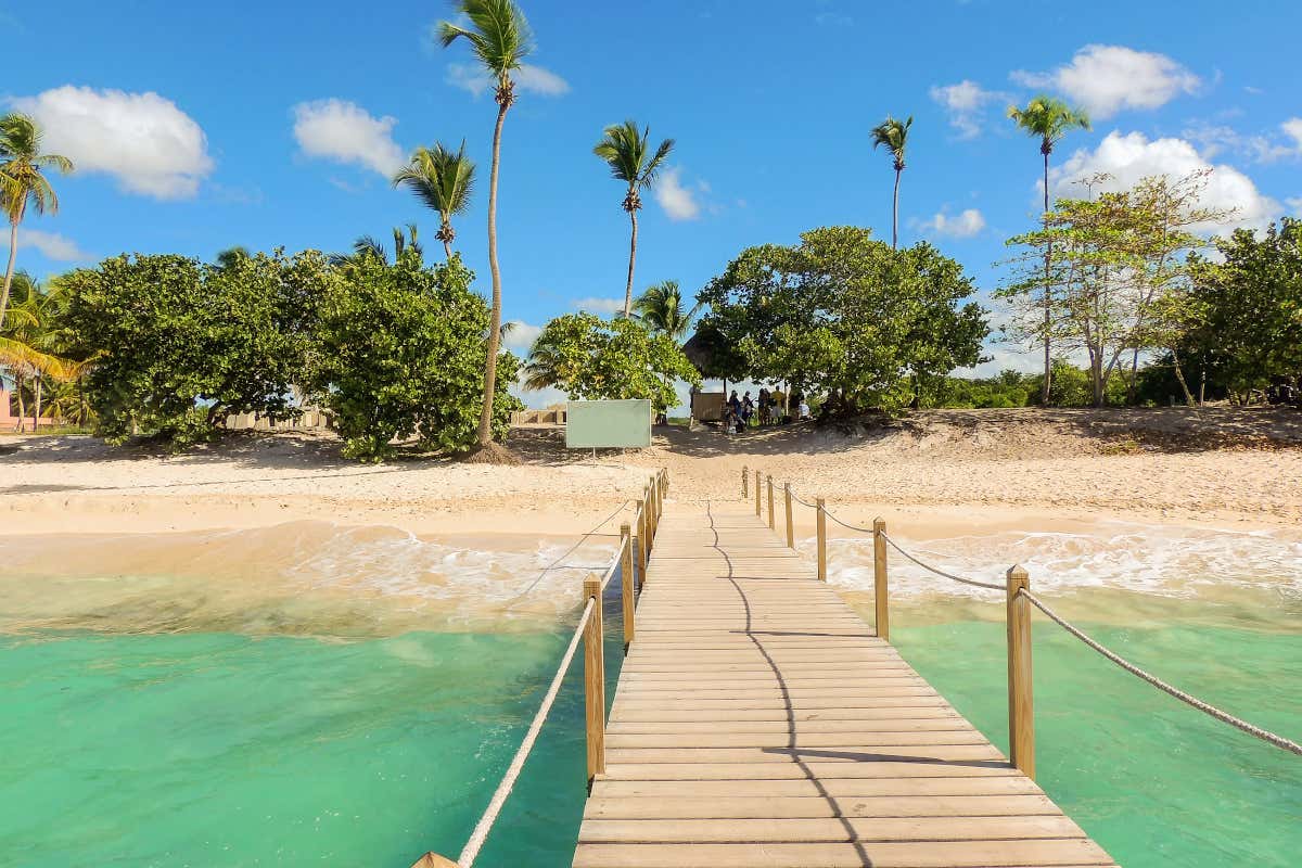 Caminho que leva à Praia Pilar com coqueiros e uma estreita faixa de areia