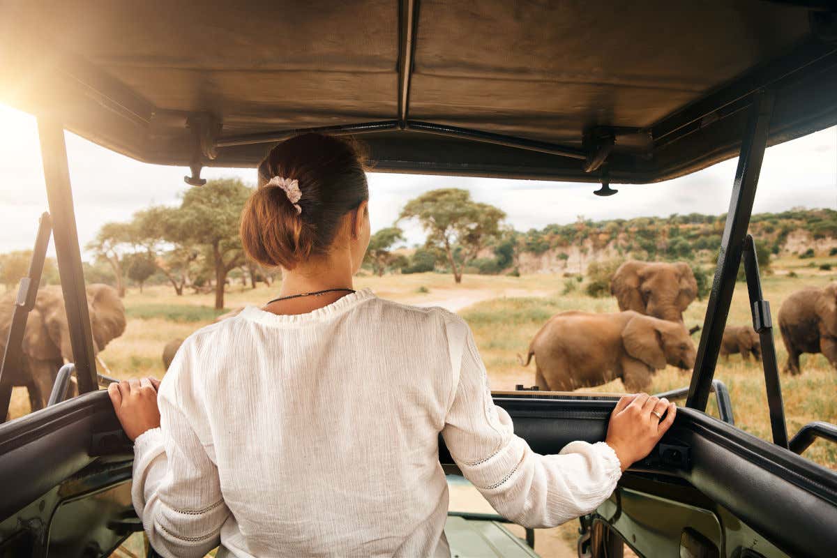 Una mujer subida en un coche todoterreno contemplando a varios elefantes mientras realiza un safari en un Parque Nacional de Kenia.