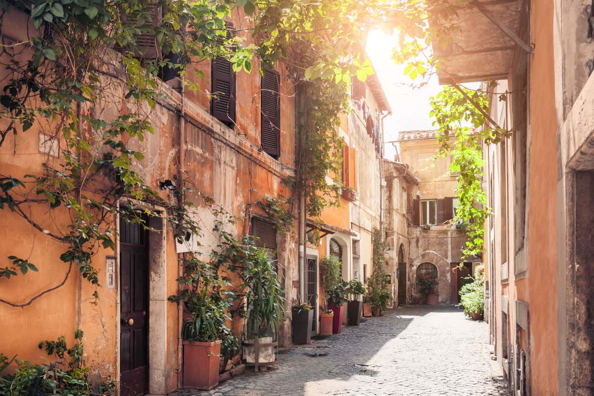 The streets of the Trastevere district in Rome, where you can see buildings with ocher and somewhat old facades, covered with potted plants and climbing plants.