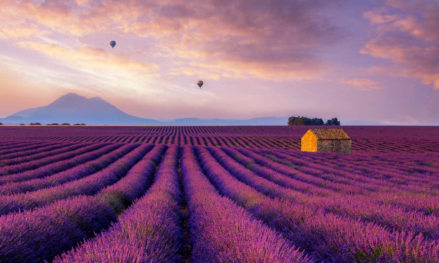 Balões voando euma casa iluminada pelo sol no meio de campos de lavanda na Provença