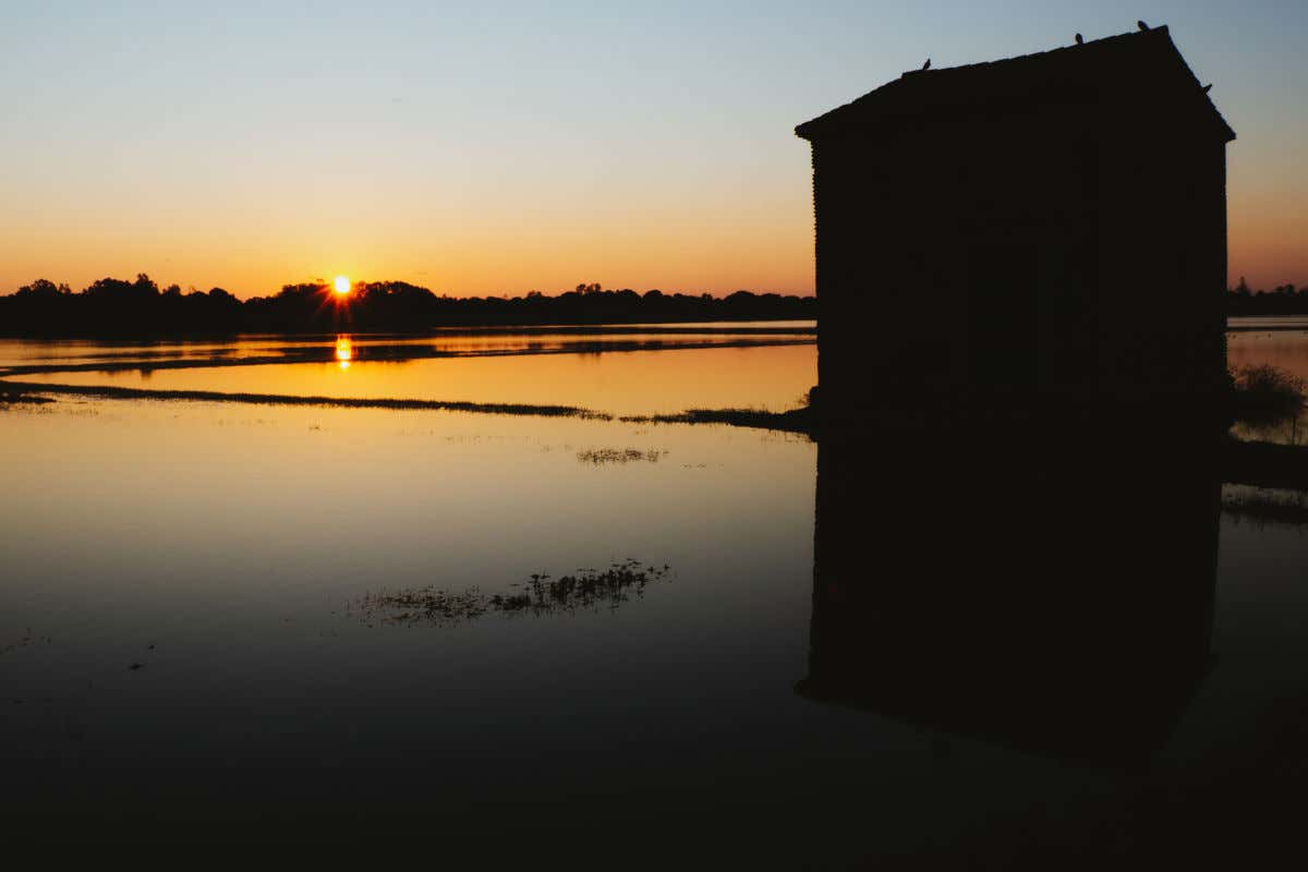 Vista do lago da Albufera de Valência ao amanhecer