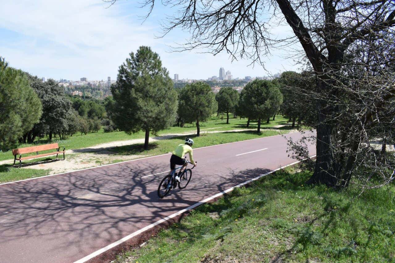 Unas personas en bici en un carril arbolado en un parque