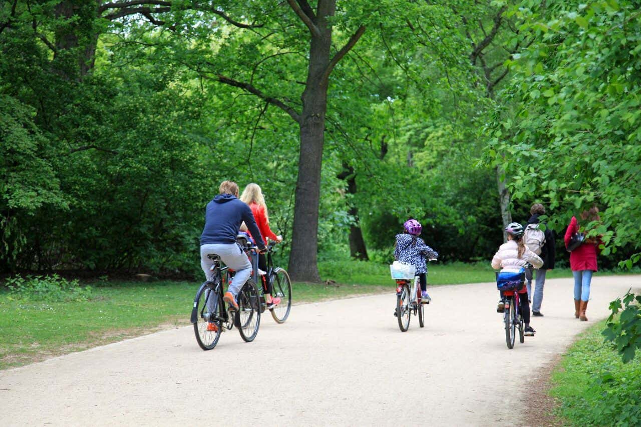 Una familia en bicicletas en un sendero arbolado