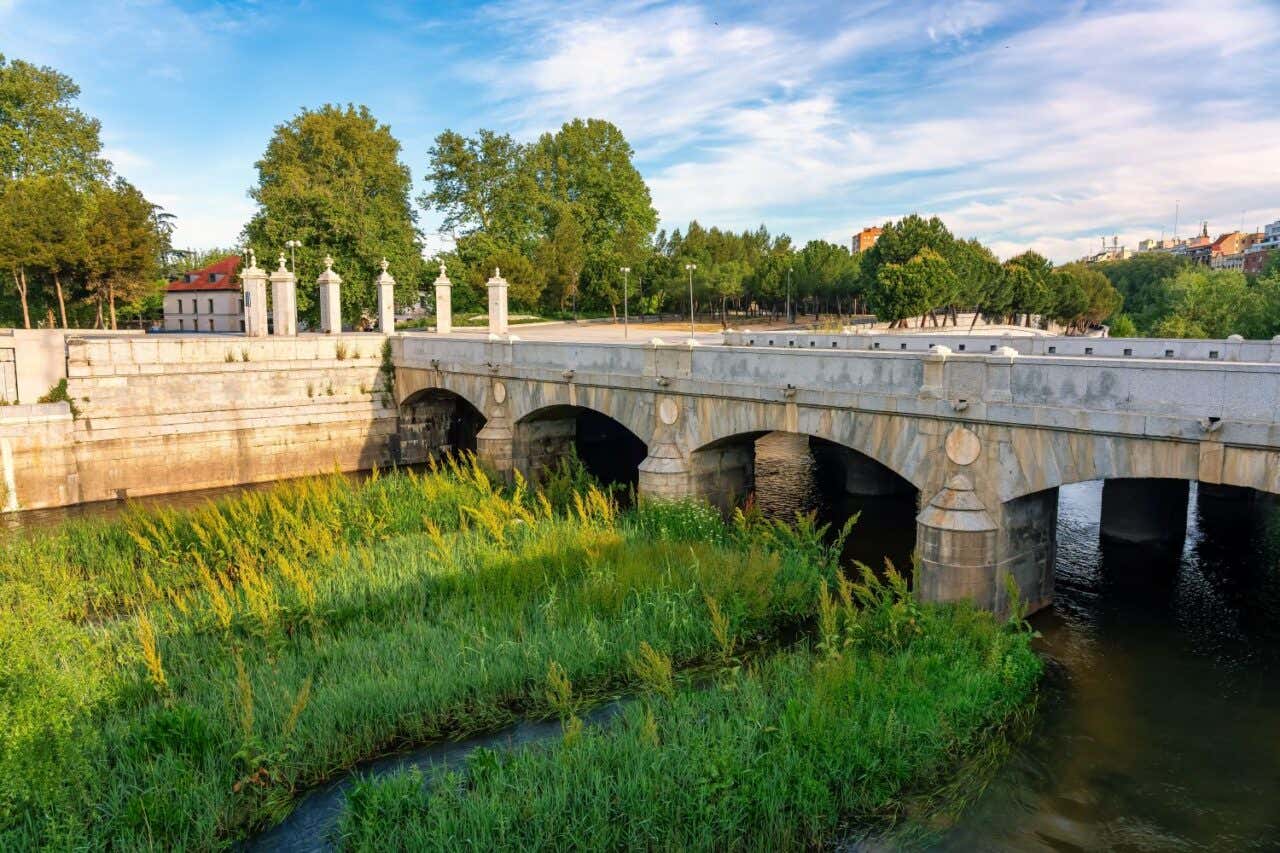 Un puente de piedra histórico con vegetación sobre un río