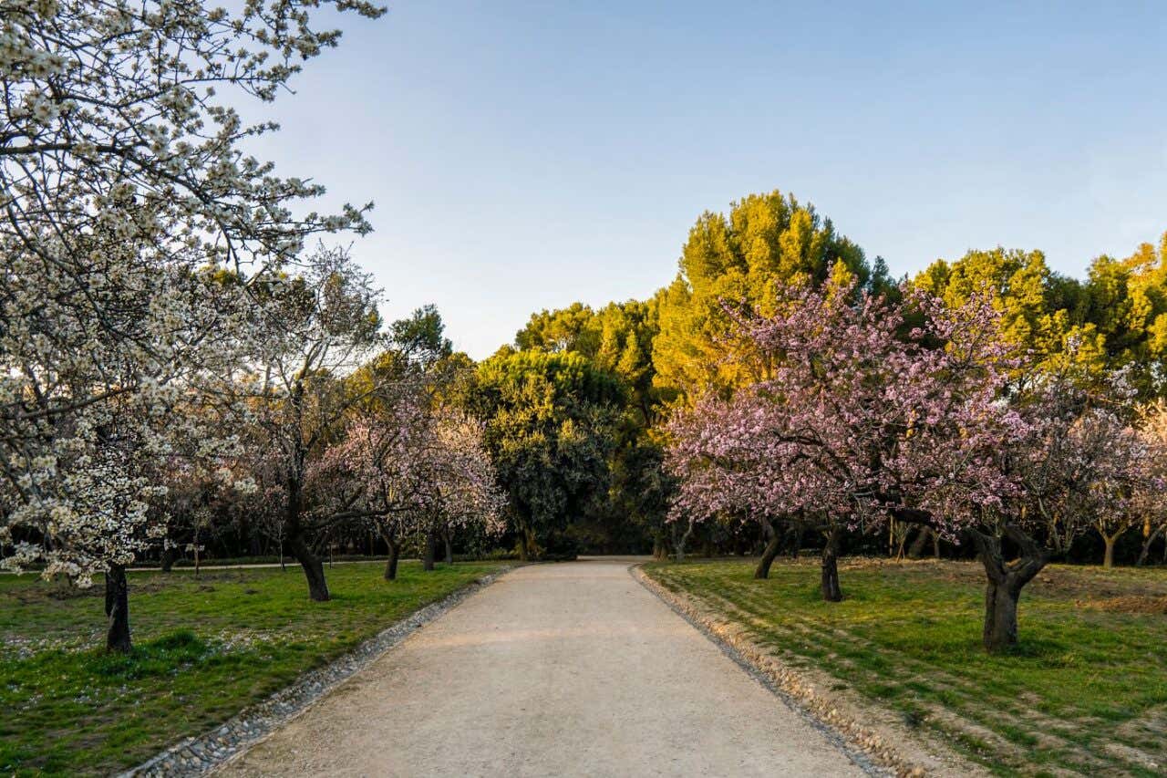 Un sendero arbolado en Quinta de los Molinos