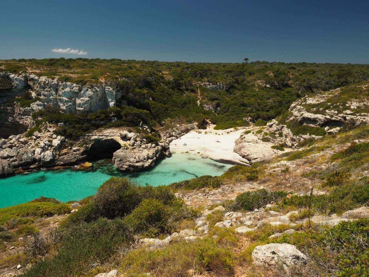 Vista aérea da impressionante Cala Marmols, cercada rochas e árvores