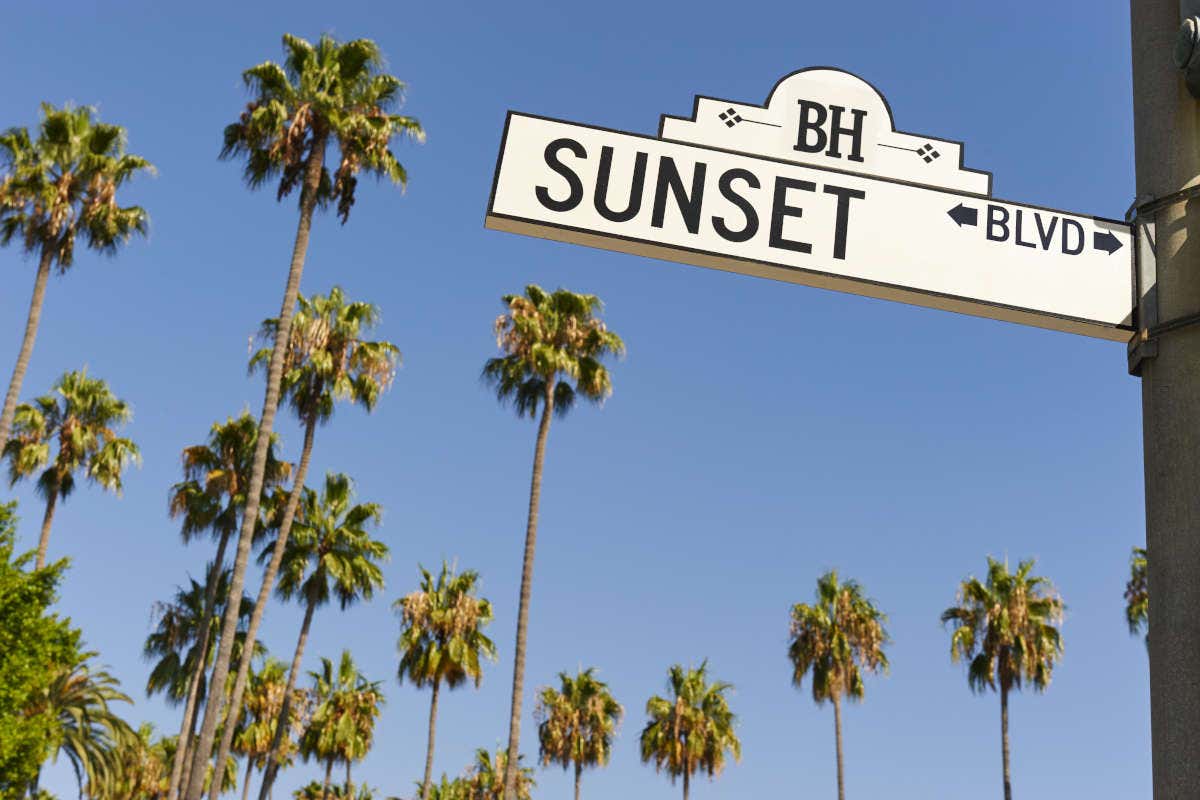 Sunset Boulevardsign and the famous palm trees in Los Angeles