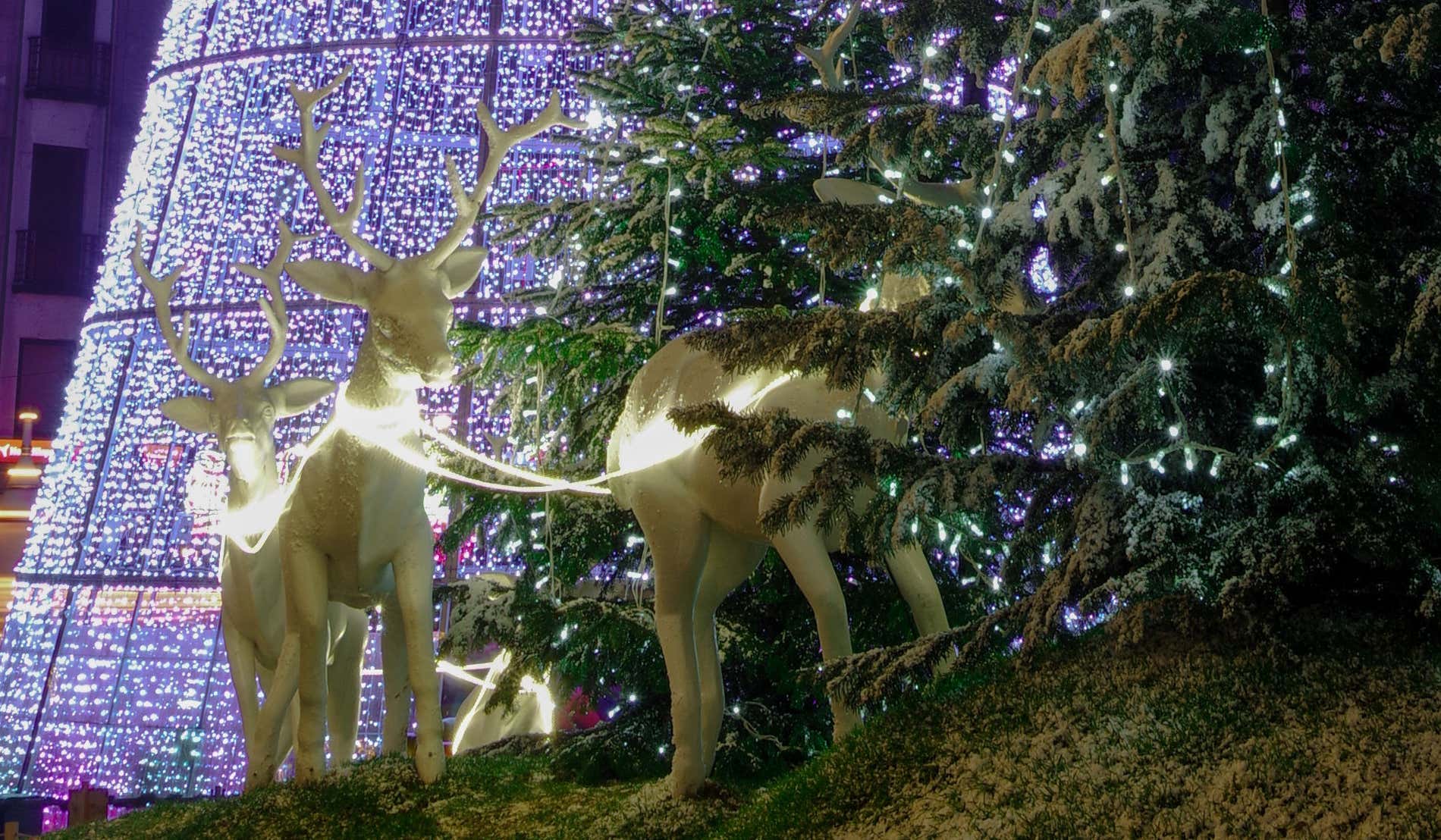 Tres esculturas de renos frente al árbol de Navidad iluminado de Vigo