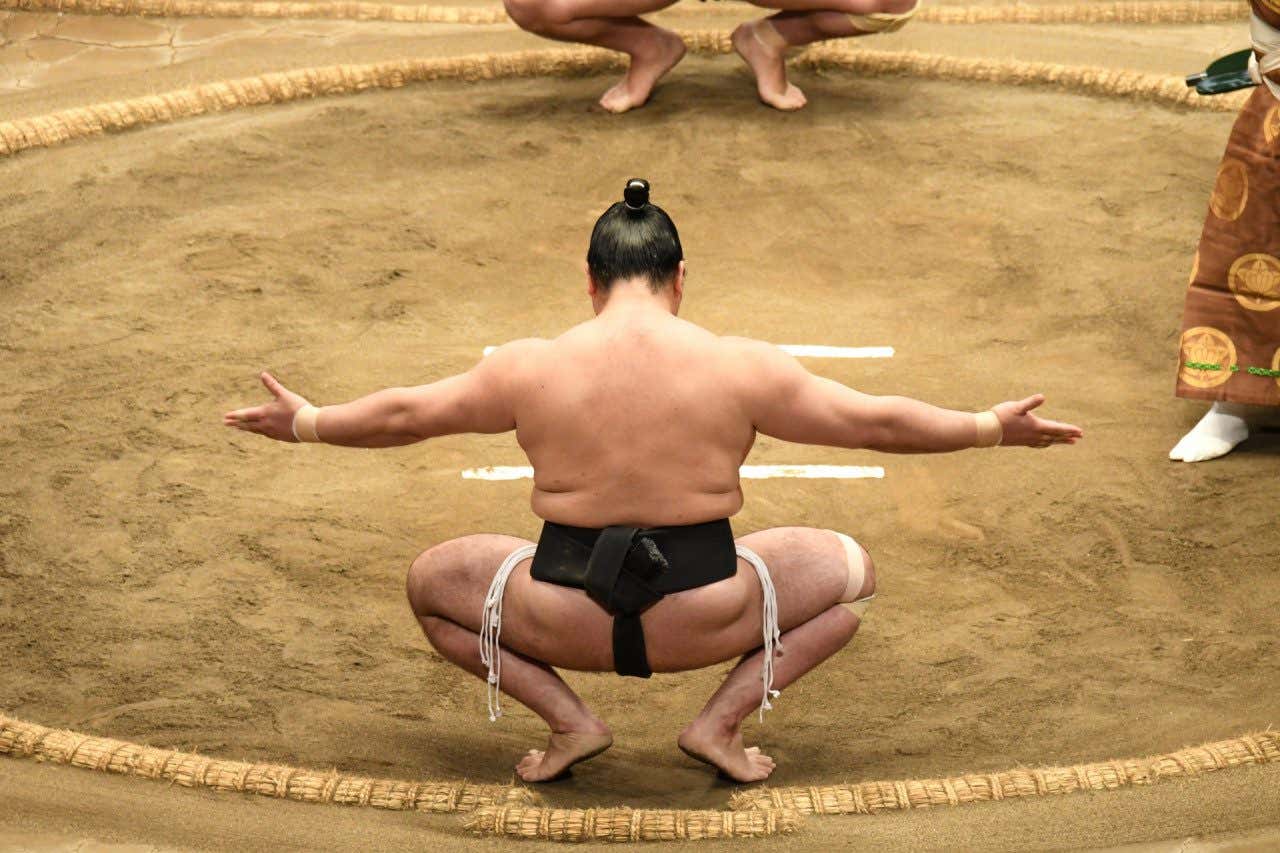Un allenamento di sumo, una della attività più curiose di Tokyo