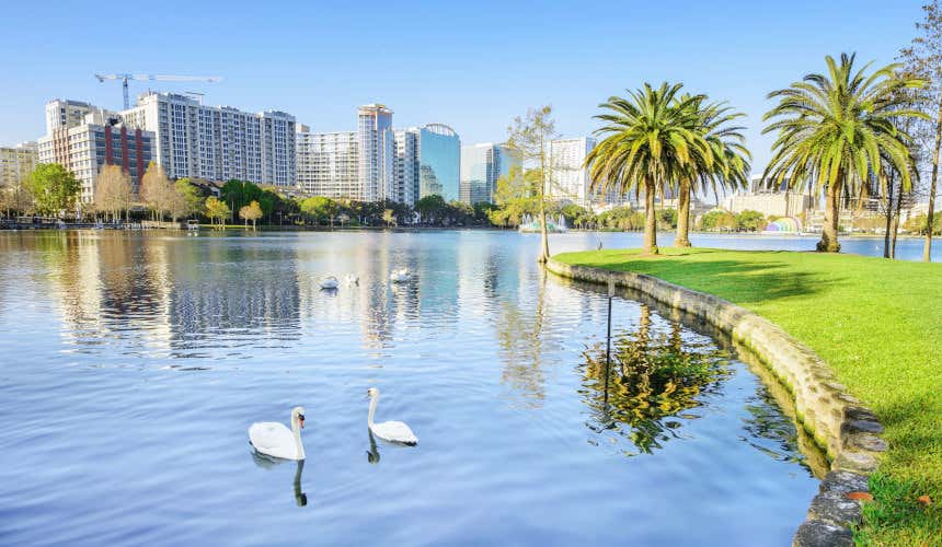 Swans at Lake Eola Park, one of Orlando's major parks