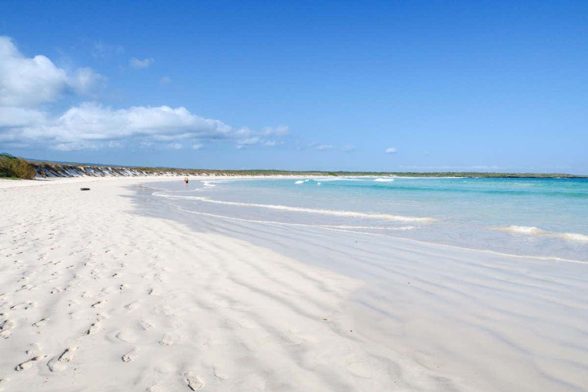 Spiaggia di sabbia bianca e acque turchesi di Tortuga Bay con alcune persone che fanno il bagno vicino alla riva