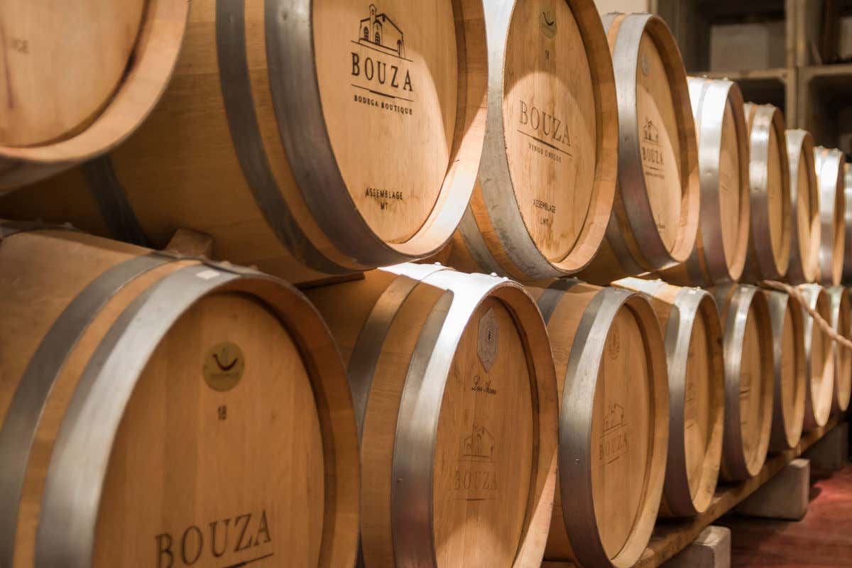 Wooden barrels piled up in the Bouza winery in Montevideo