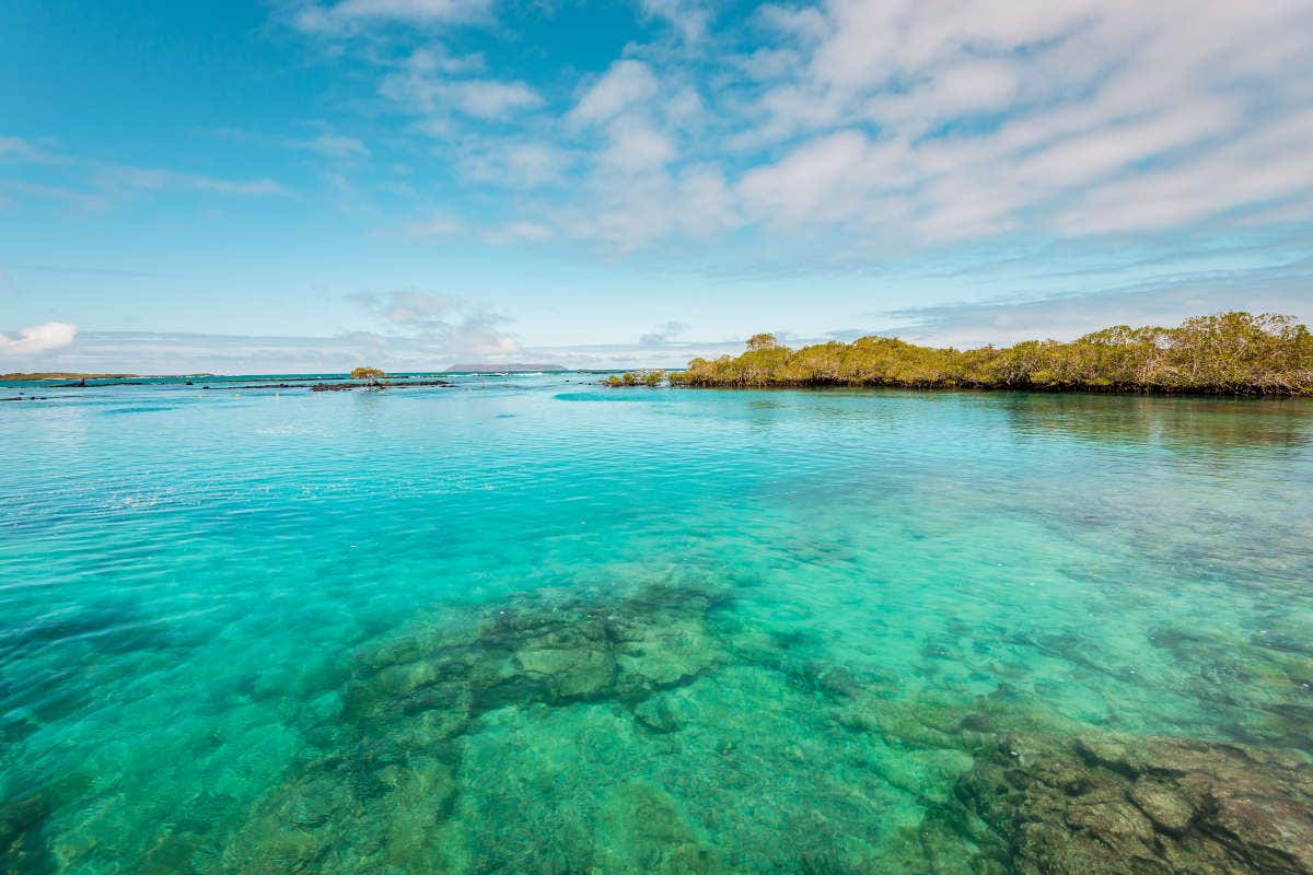 Las aguas cristalinas de Concha Perla, otra de las zonas que ver en Islas Galápagos