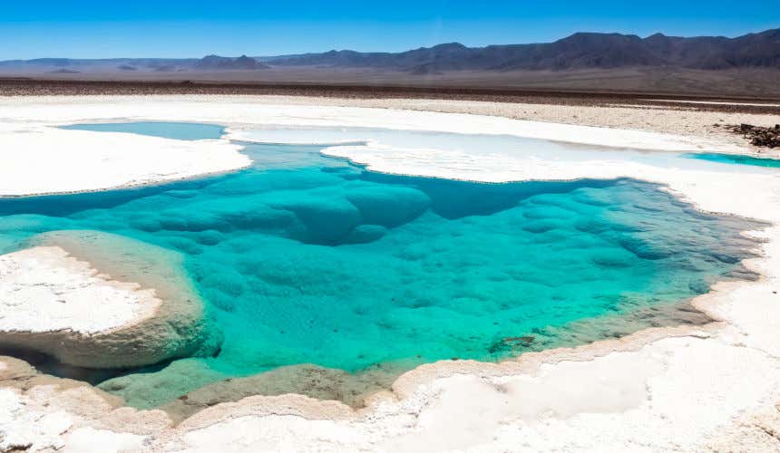 A turquoise blue body of water with white salt accumulated around the shore under a clear blue sky in the Atacama Desert