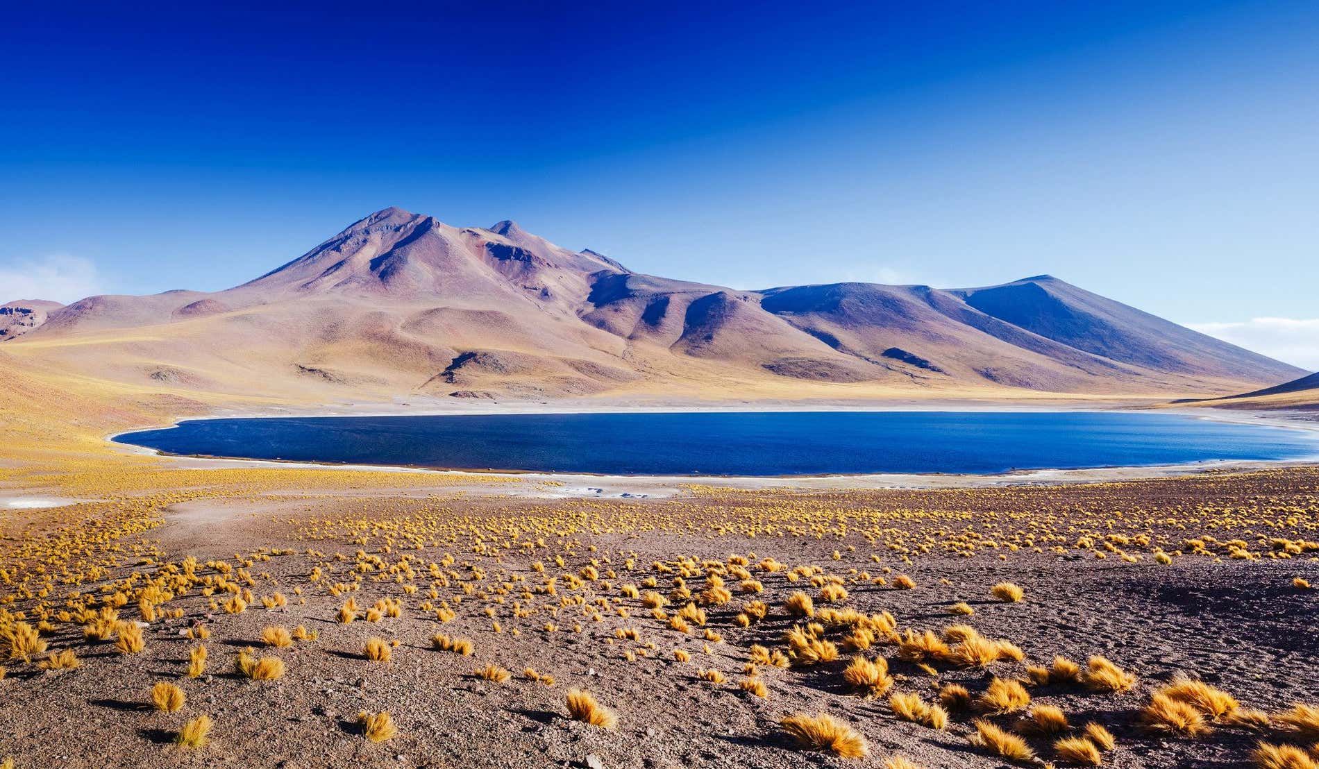 I must del deserto di Atacama