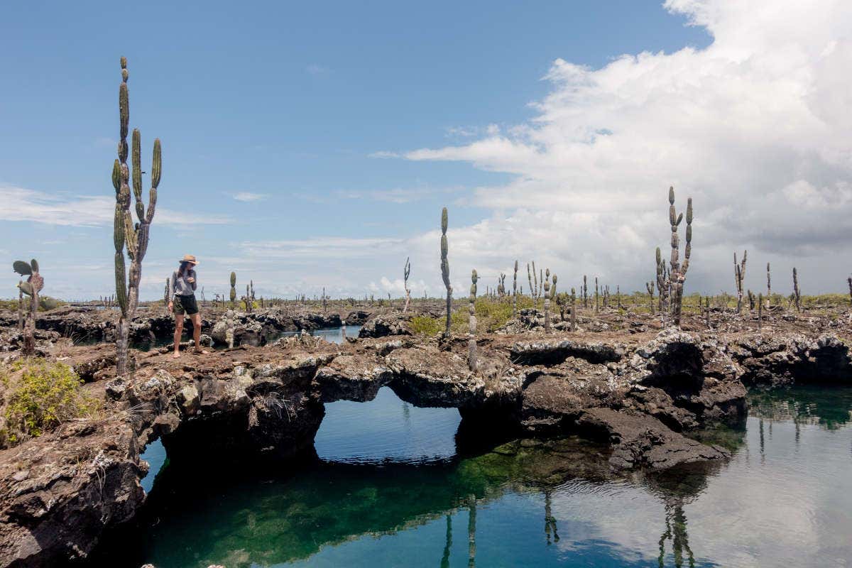 Una ragazza guarda le formazioni rocciose, piante grasse e tunnel sull'acqua a Baia Tintoreras