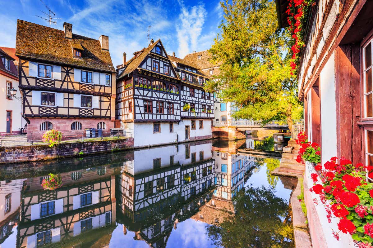 Águas cristalinas refletindo a fachada das casas da Petite France em Estrasburgo, decoradas com flores e plantas