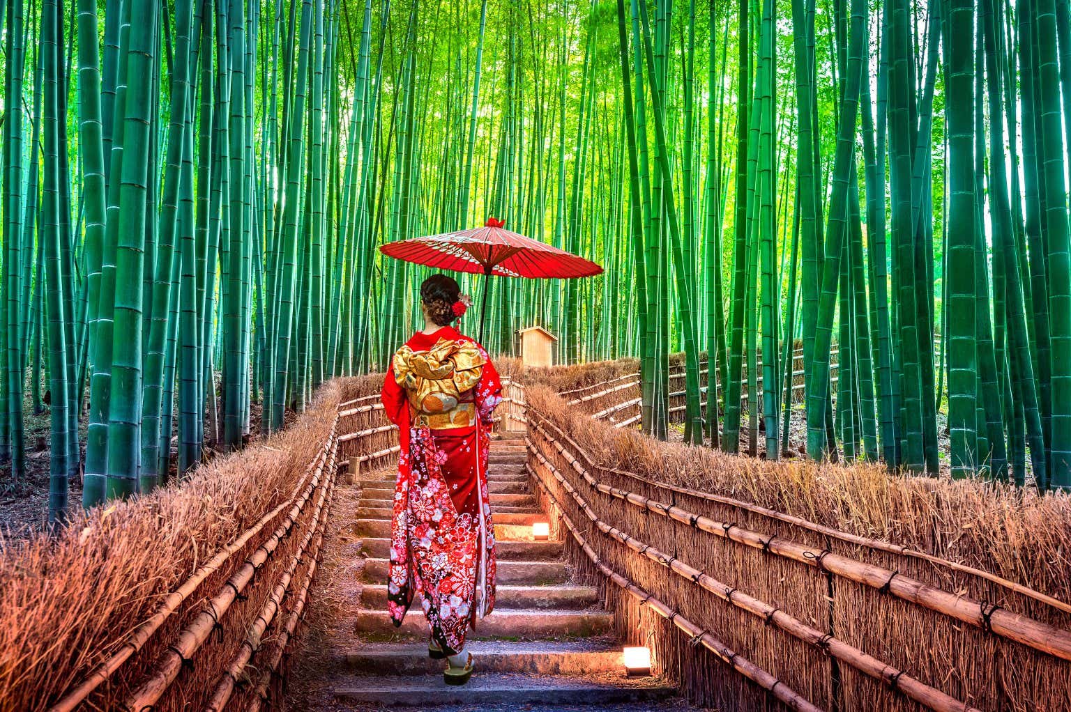 Donna vestita con il kimono tradizionale che cammina nella foresta di bambù di Arashiyama