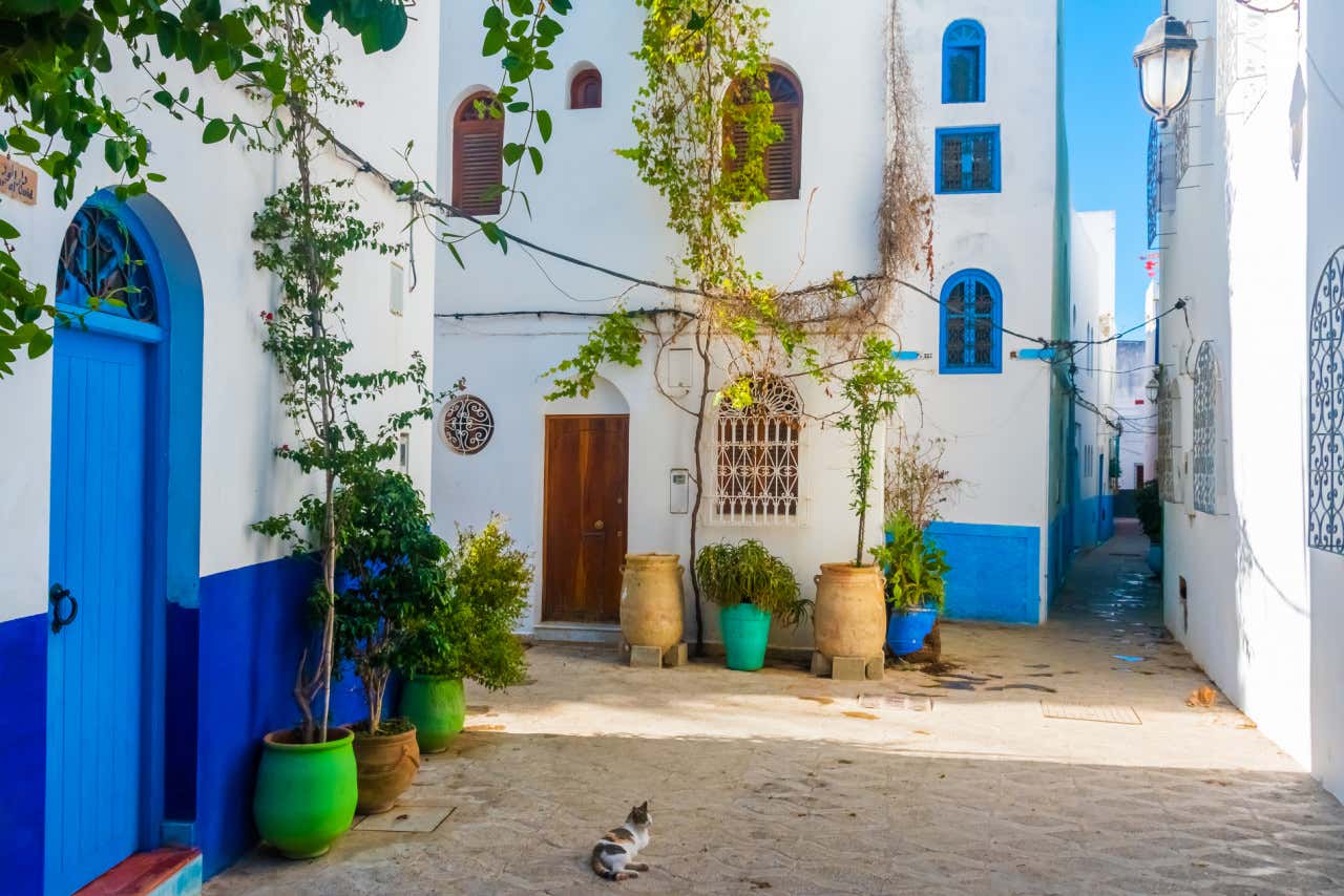 Vie dipinte di bianco e blu ad Assilah, Marocco