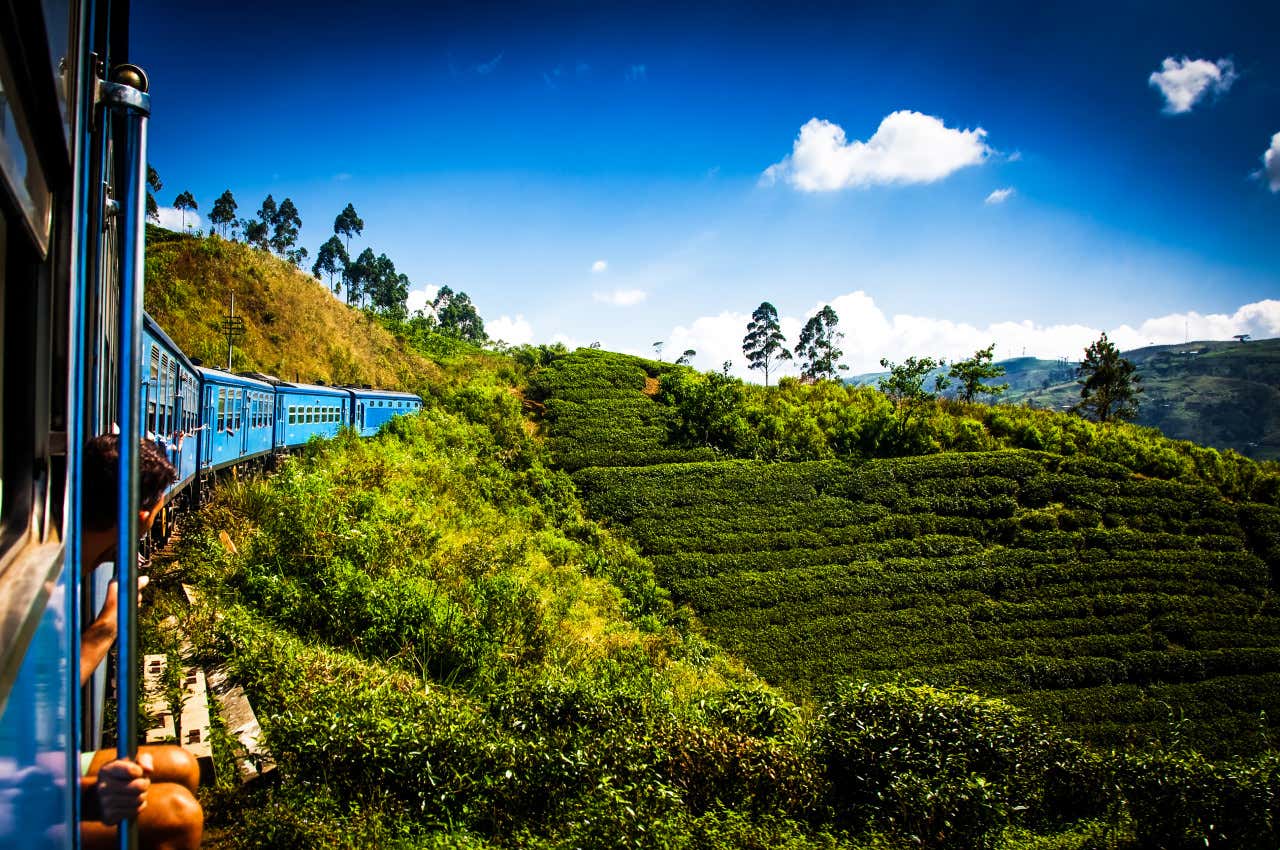 Trem azul passando por plantações de chá