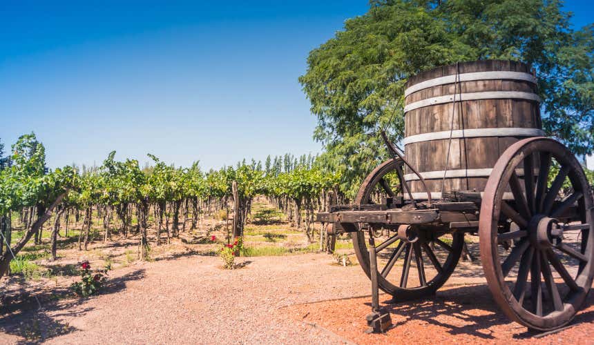 Vinhedos da vinícola Vistalba de Mendoza, Argentina