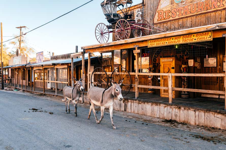 Burros paseando por las calles de Oatman