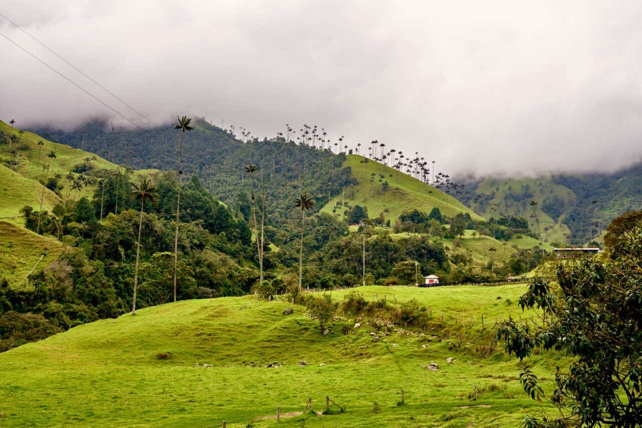 Eje Cafetero de Colombia: qué ver y qué hacer | Civitatis Magazine