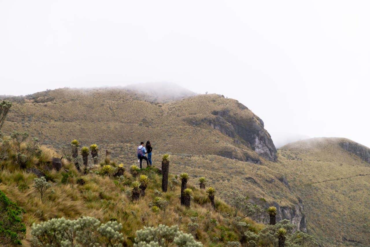 Panorámica de los páramos en el Parque Nacional Los Nevados