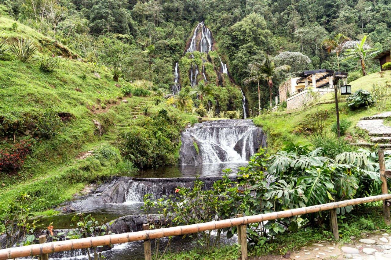 Unas pozas naturales escalonadas en medio de un bosque