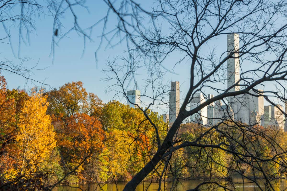 Un estanque y varios árboles de hojas anaranjadas en un día de otoño con la Central Park Tower al fondo