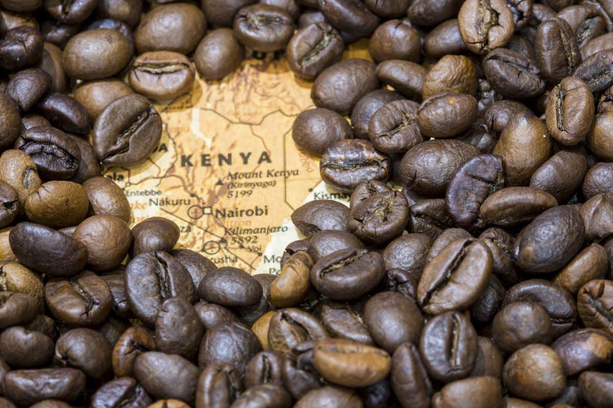 Granos de café sobre un mapa en inglés donde se puede ver Kenia y uno de sus montes más elevados