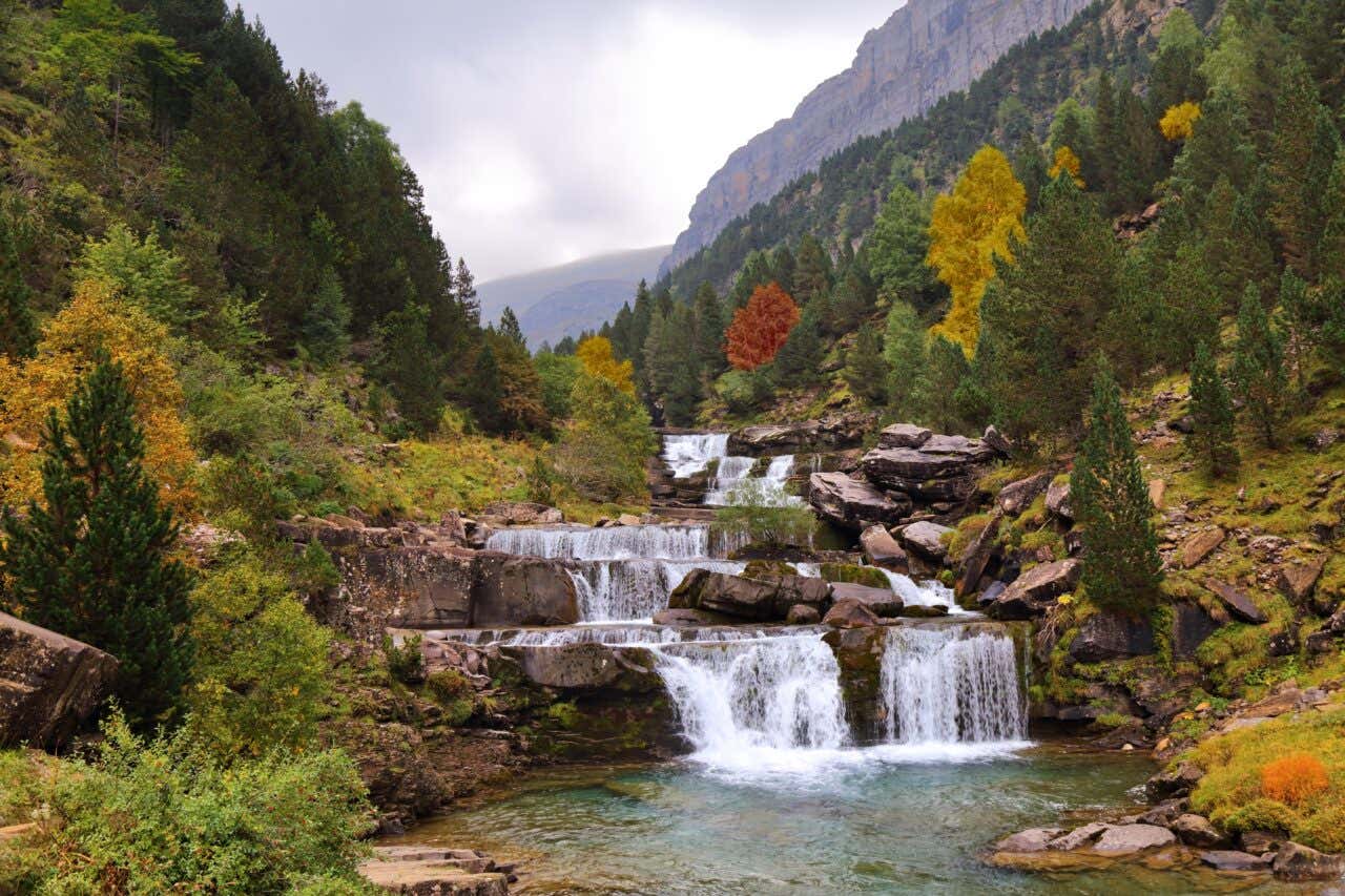 Cascades au milieu d'une forêt aux nuances de vert et de jaune dans le Parc national d'Ordesa