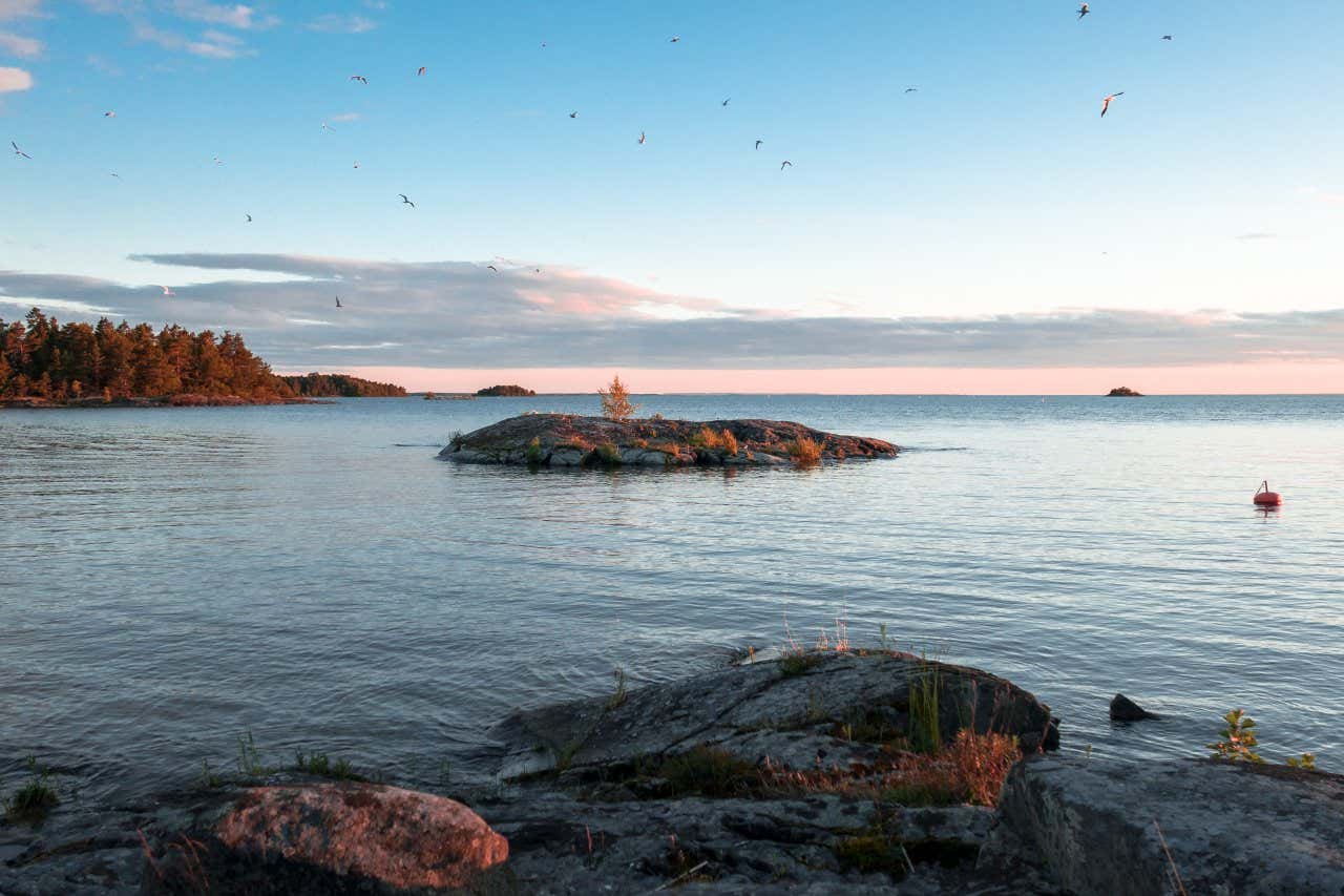 Pequeño islote poblado de aves en el lago Vänern en Suecia