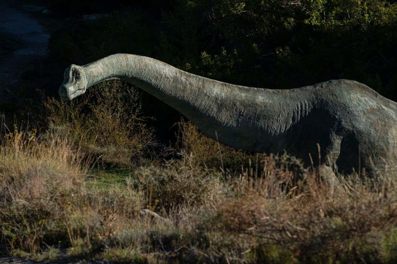 Braquiosaurio reproducción a tamaño natural en Enciso