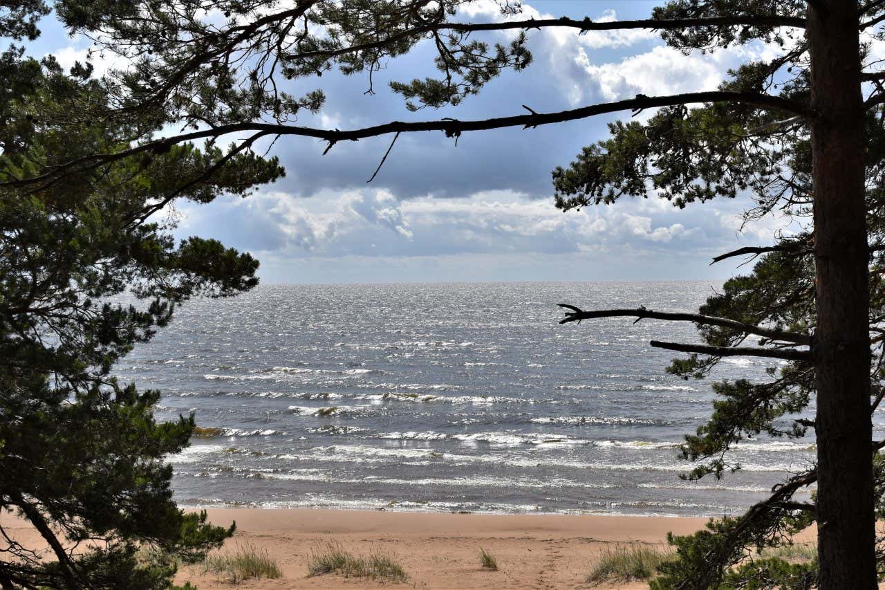 Paisaje con vistas al lago Peipus, en la frontera de Estonia con Rusia