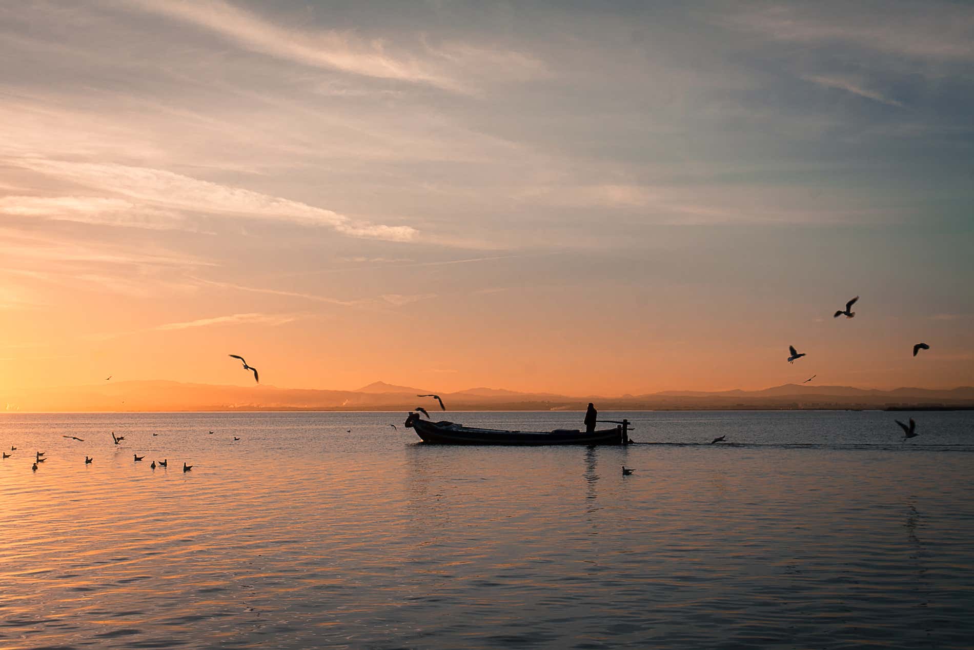 Atardecer en el Parque Natural de L'Albufera