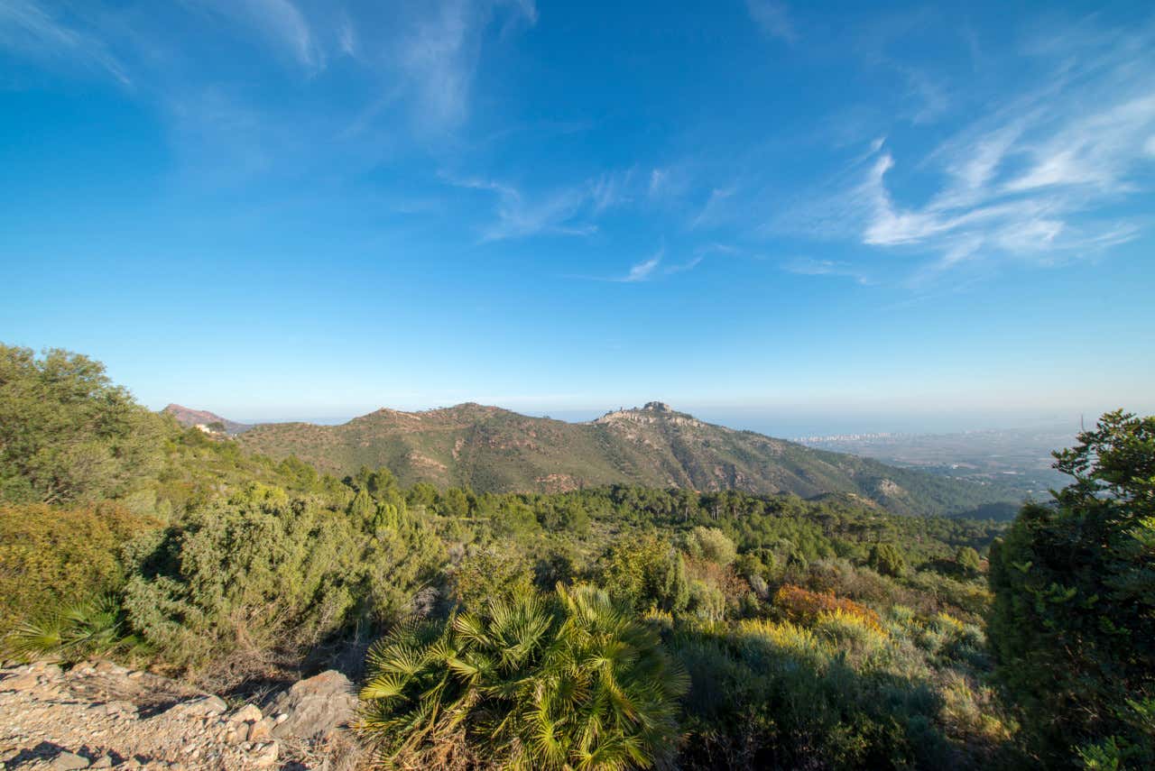 Vista panorámica del Desierto de las Palmas en un día soleado sin nubes
