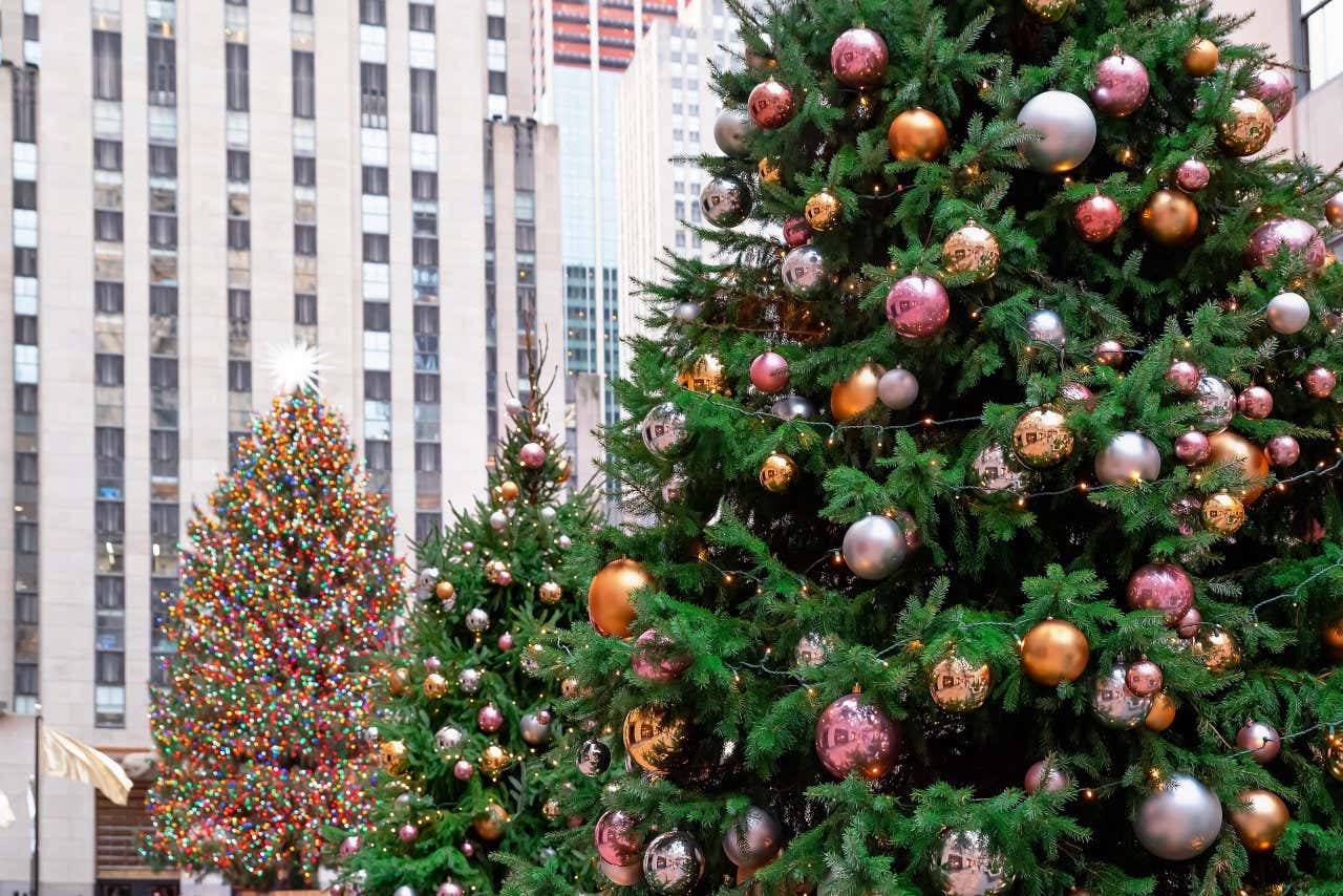 An image of 3 christmas trees at the Rockefeller Center, 2 of them have lights and baubles with the 3rd having multi-coloured lights
